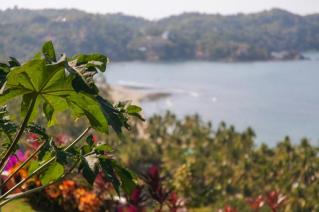 Casa Los Arcos Otel Sayulita Dış mekan fotoğraf