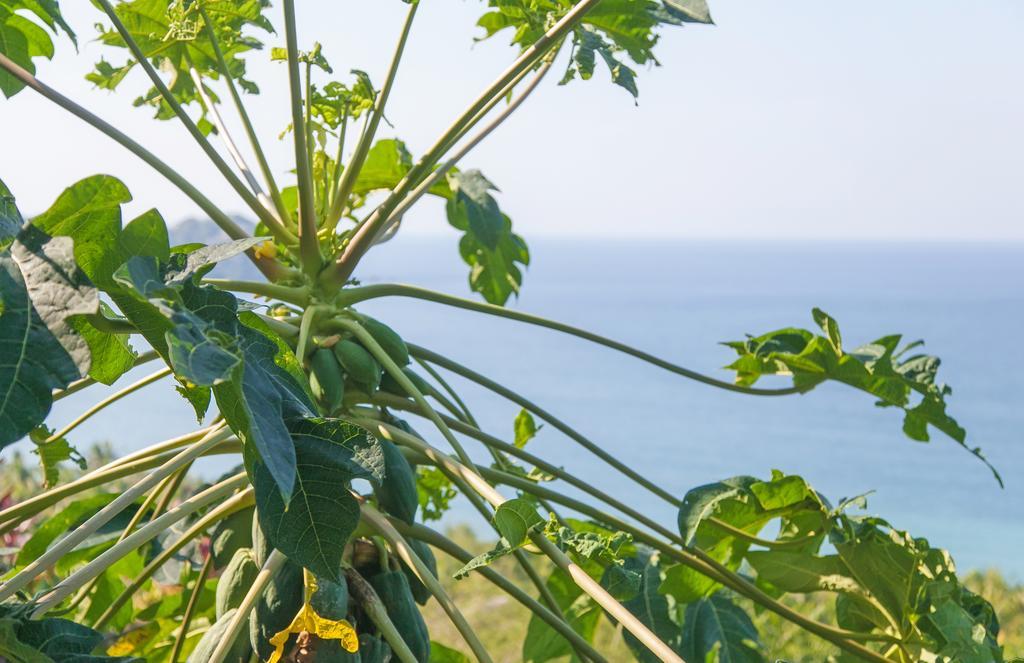 Casa Los Arcos Otel Sayulita Dış mekan fotoğraf